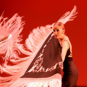 Fotografía de Festival de Danza y Flamenco Conchi Cabrera - Conchi Cabrera