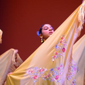 Fotografía de Festival de Danza y Flamenco Conchi Cabrera - Conchi Cabrera