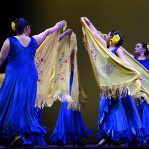 Fotografía de Festival de Danza y Flamenco Conchi Cabrera - Conchi Cabrera