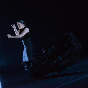 Fotografía de Más tiempo que vida (estreno) - Conservatorio de Danza