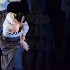 Fotografía de Más tiempo que vida (estreno) - Conservatorio de Danza