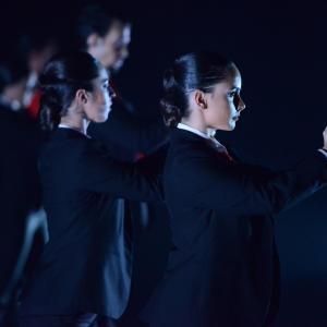 Fotografía de Más tiempo que vida - Conservatorio de Danza