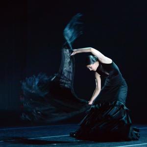 Fotografía de Más tiempo que vida (segunda representación) - Conservatorio de Danza
