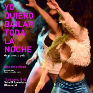 Fotografía de Yo quiero bailar toda la noche - Proyecto Pelo
