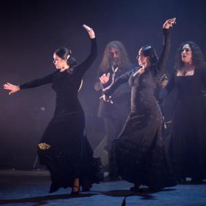 Fotografía de Ánima, estreno - Ánima