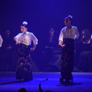 Fotografía de Ánima, estreno - Ánima