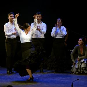 Fotografía de Ánima, estreno - Ánima