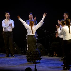 Fotografía de Ánima, estreno - Ánima