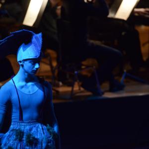 Fotografía de El carnaval de los animales - Conservatorio de Danza