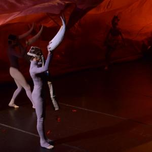 Fotografía de El carnaval de los animales - Conservatorio de Danza