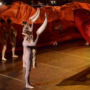 Fotografía de El carnaval de los animales - Conservatorio de Danza