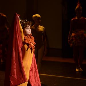 Fotografía de El carnaval de los animales - Conservatorio de Danza