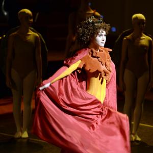 Fotografía de El carnaval de los animales - Conservatorio de Danza