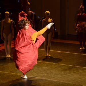 Fotografía de El carnaval de los animales - Conservatorio de Danza