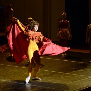 Fotografía de El carnaval de los animales - Conservatorio de Danza