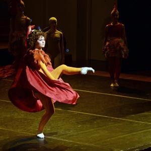 Fotografía de El carnaval de los animales - Conservatorio de Danza