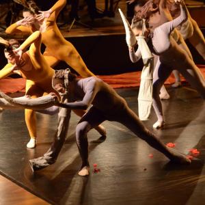 Fotografía de El carnaval de los animales - Conservatorio de Danza