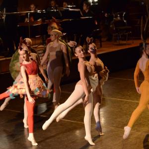 Fotografía de El carnaval de los animales - Conservatorio de Danza