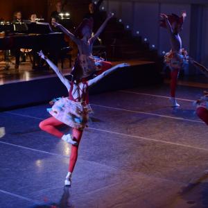 Fotografía de El carnaval de los animales - Conservatorio de Danza