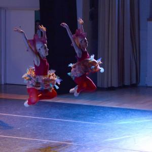 Fotografía de El carnaval de los animales - Conservatorio de Danza