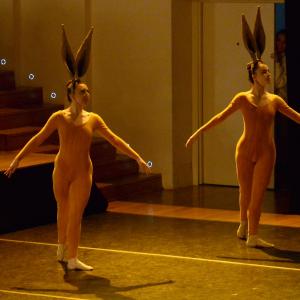Fotografía de El carnaval de los animales - Conservatorio de Danza