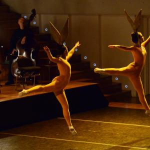 Fotografía de El carnaval de los animales - Conservatorio de Danza