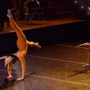 Fotografía de El carnaval de los animales - Conservatorio de Danza