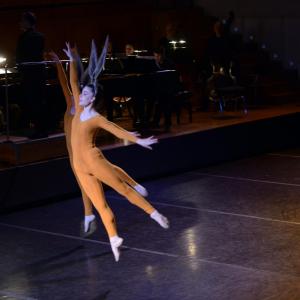 Fotografía de El carnaval de los animales - Conservatorio de Danza