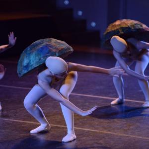 Fotografía de El carnaval de los animales - Conservatorio de Danza