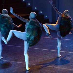 Fotografía de El carnaval de los animales - Conservatorio de Danza