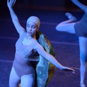 Fotografía de El carnaval de los animales - Conservatorio de Danza