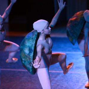 Fotografía de El carnaval de los animales - Conservatorio de Danza