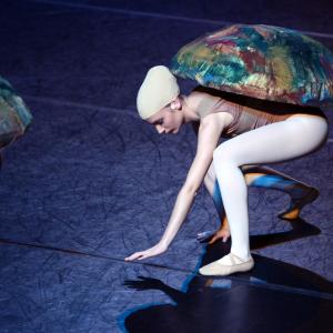 Fotografía de El carnaval de los animales - Conservatorio de Danza