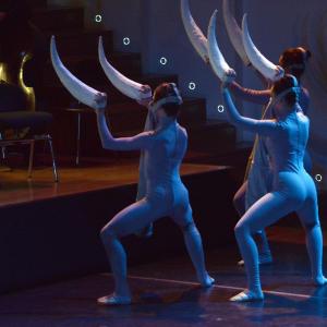 Fotografía de El carnaval de los animales - Conservatorio de Danza