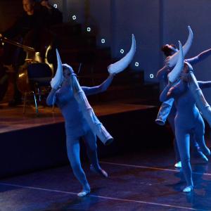 Fotografía de El carnaval de los animales - Conservatorio de Danza