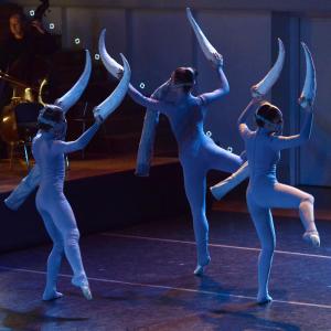 Fotografía de El carnaval de los animales - Conservatorio de Danza