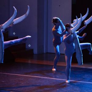 Fotografía de El carnaval de los animales - Conservatorio de Danza