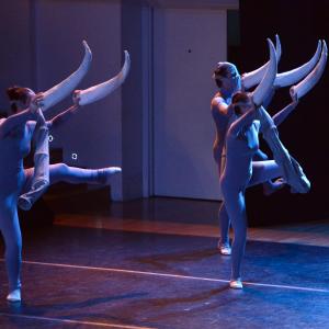 Fotografía de El carnaval de los animales - Conservatorio de Danza