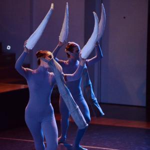Fotografía de El carnaval de los animales - Conservatorio de Danza