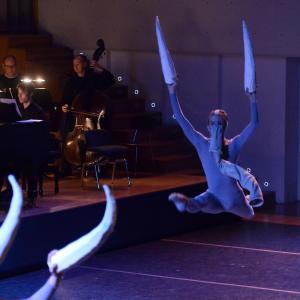 Fotografía de El carnaval de los animales - Conservatorio de Danza