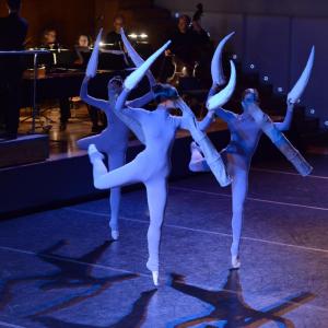 Fotografía de El carnaval de los animales - Conservatorio de Danza