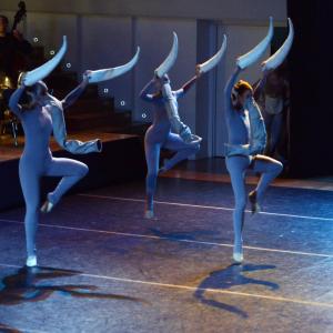 Fotografía de El carnaval de los animales - Conservatorio de Danza
