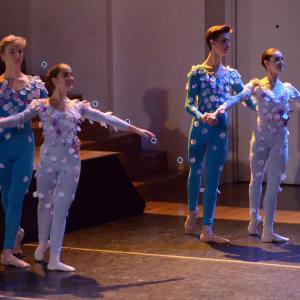 Fotografía de El carnaval de los animales - Conservatorio de Danza
