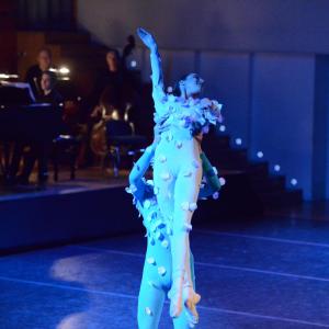 Fotografía de El carnaval de los animales - Conservatorio de Danza