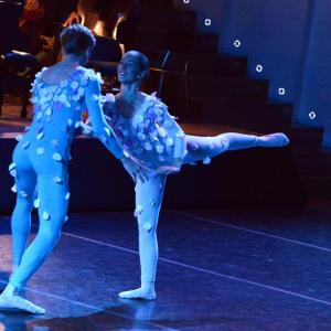 Fotografía de El carnaval de los animales - Conservatorio de Danza