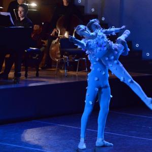 Fotografía de El carnaval de los animales - Conservatorio de Danza