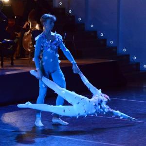 Fotografía de El carnaval de los animales - Conservatorio de Danza