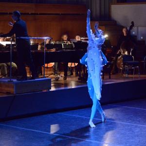 Fotografía de El carnaval de los animales - Conservatorio de Danza