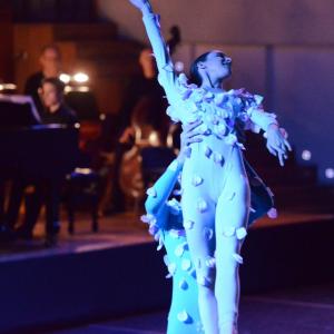 Fotografía de El carnaval de los animales - Conservatorio de Danza