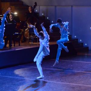 Fotografía de El carnaval de los animales - Conservatorio de Danza